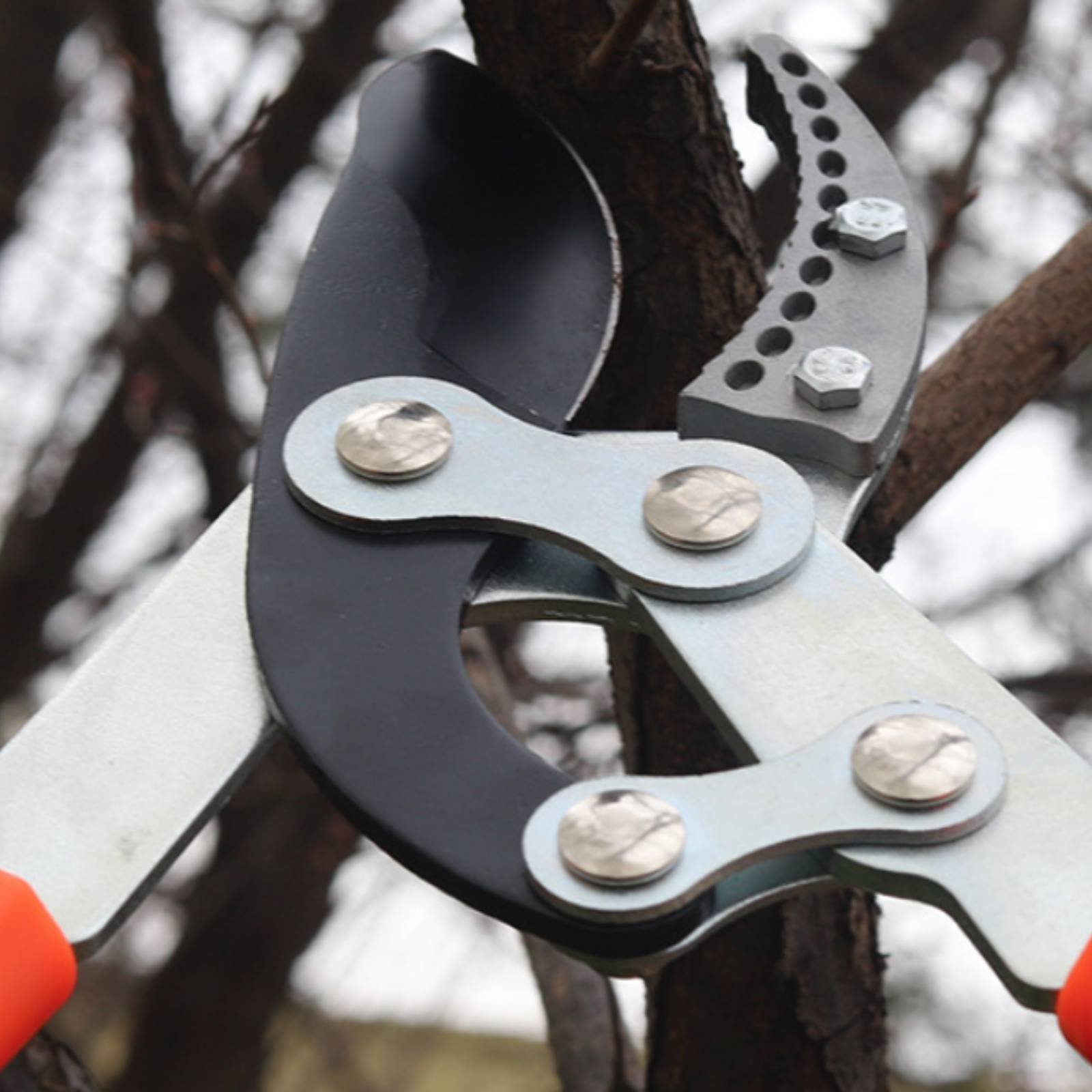 Gardening Tools In - Teleskopische Astschere mit Scharfer Klinge, Robuste