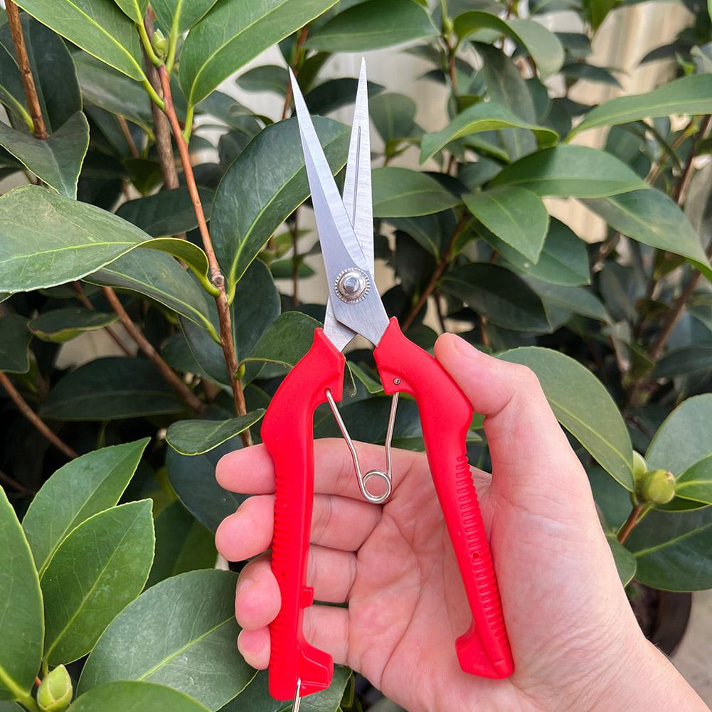 Gardening Tools Vegetables - Professionelle Gartenschere Verlängerte Baum- und Blumenschere