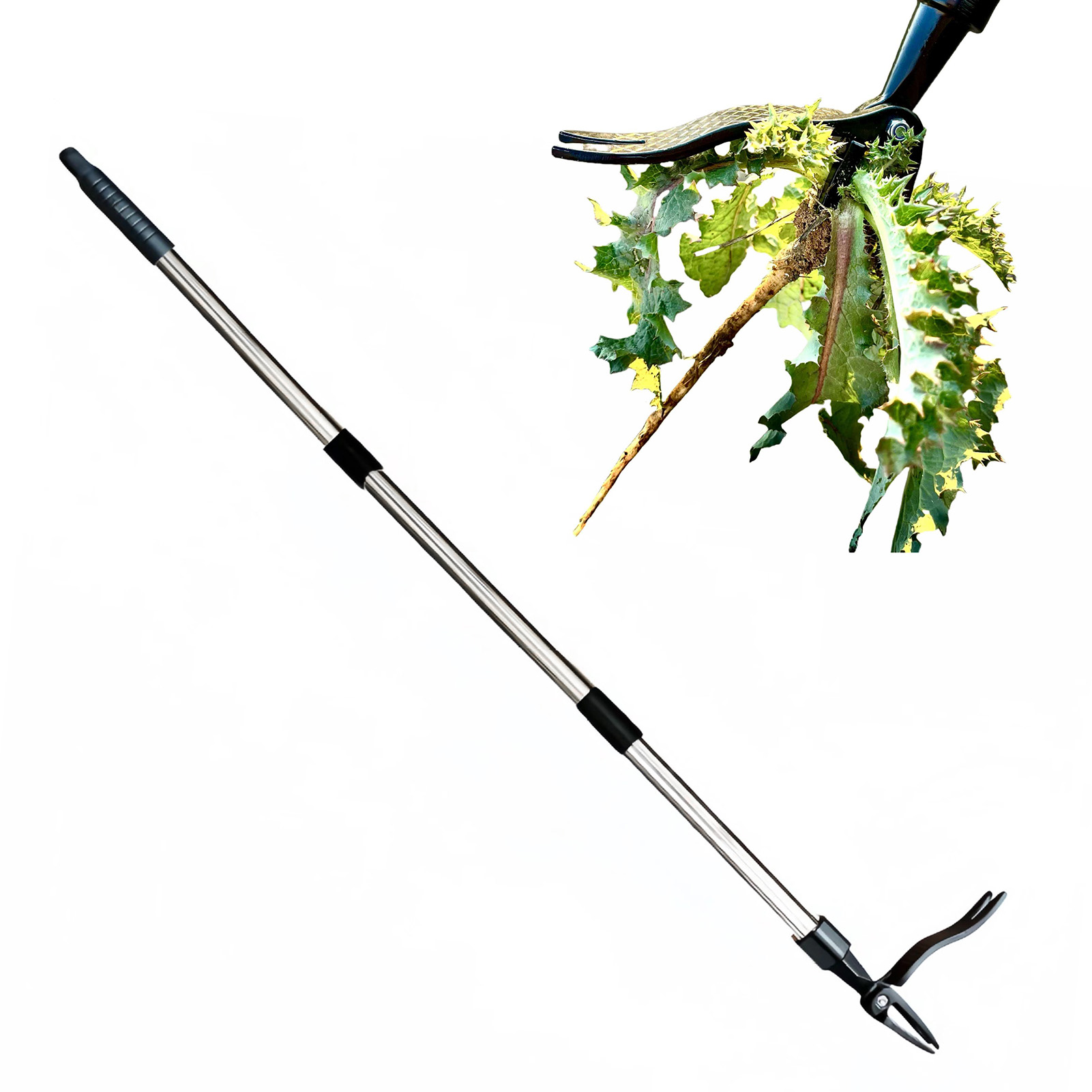 4-Klauen-Stand-Up-Unkrautziehe – Grass Seed Spreader Bewertung und Preis