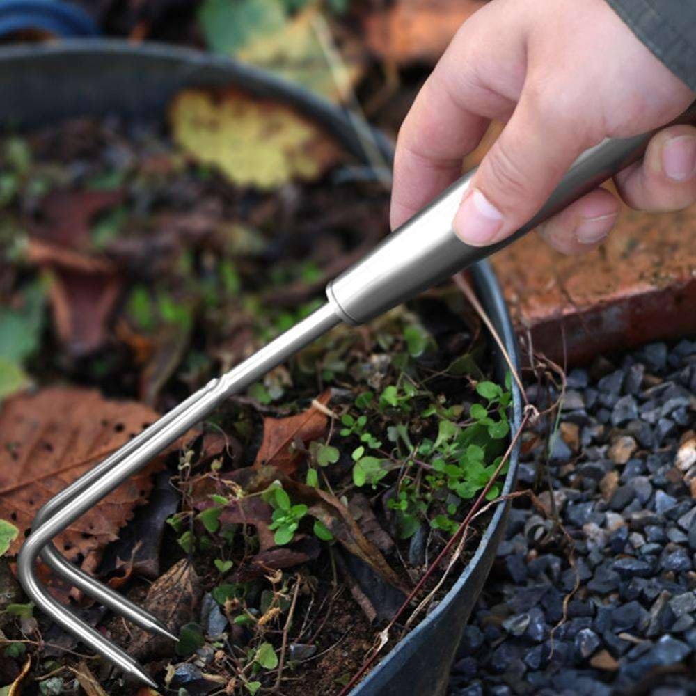 Unkrautzieher aus Edelstahl, 2 – Grass Seed Spreader Bewertung und Preis