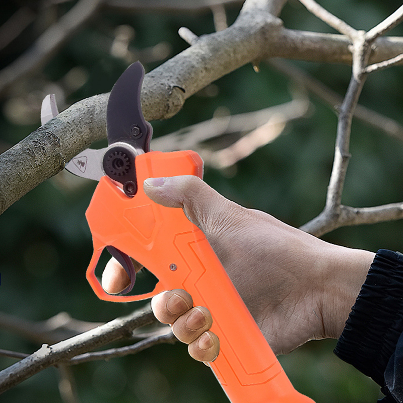 Bestseller 42V Akku-Astschere  – Gardening Tools In Bewertung und Preis