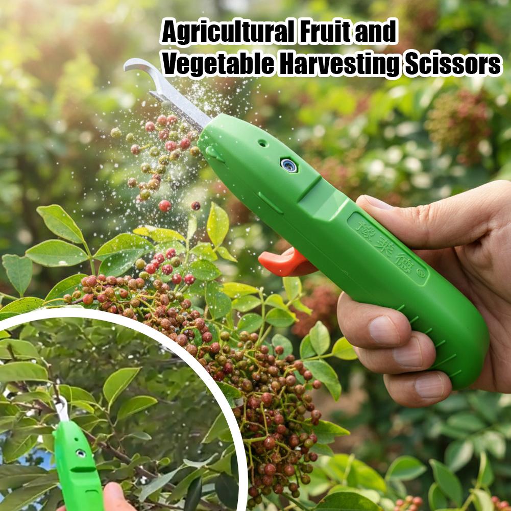 Obst- und Gemüse-Ernteschere,  – Gardening Tools Vegetables Bewertung und Preis