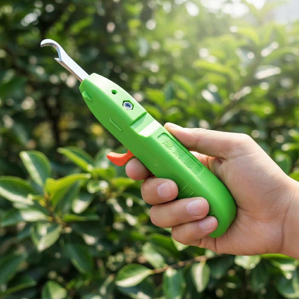Obst- und Gemüse-Ernteschere,  – Gardening Tools Vegetables Bewertung und Preis