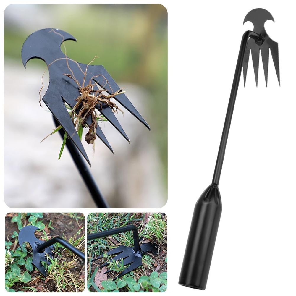 Gartenhacke-Werkzeug, 2-in-1,  – Grass Seed Spreader Bewertung und Preis