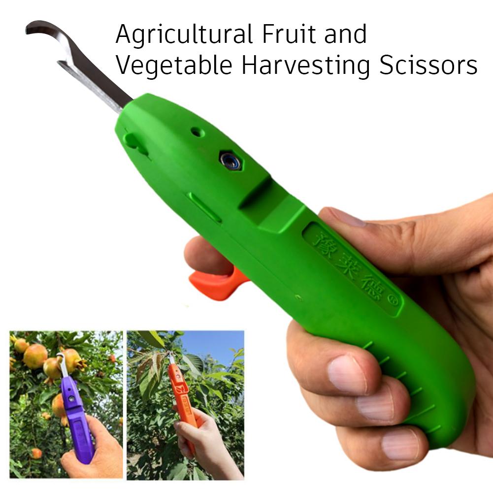 Tragbares Multifunktionales Ga – Gardening Tools Vegetables Bewertung und Preis