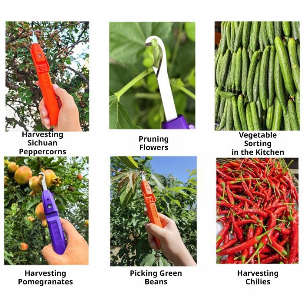 Tragbares Multifunktionales Ga – Gardening Tools Vegetables Bewertung und Preis