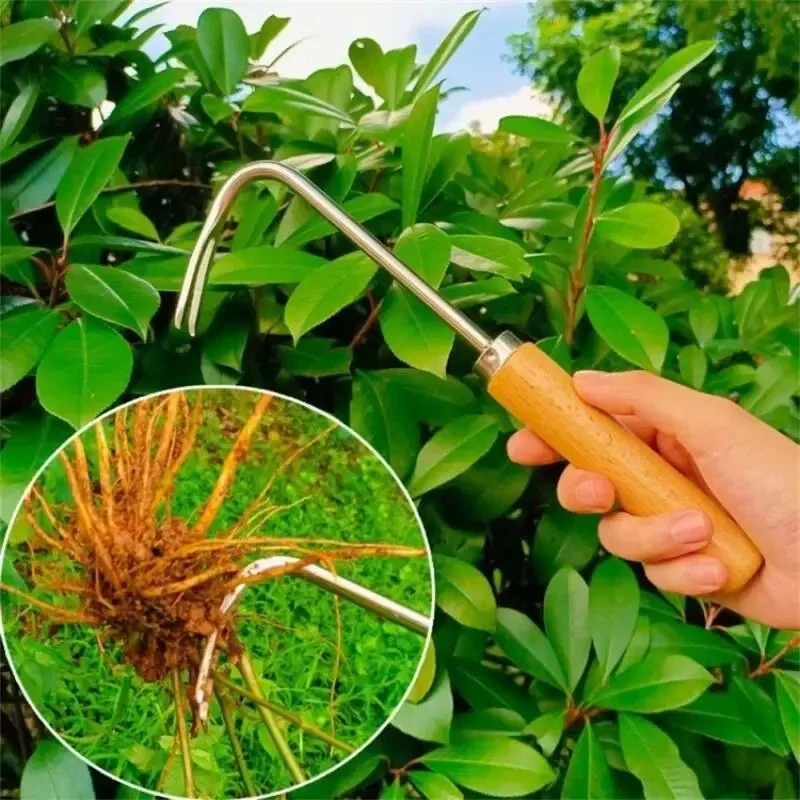 Edelstahl Gartenarbeit Weeder  – Grass Seed Spreader Bewertung und Preis