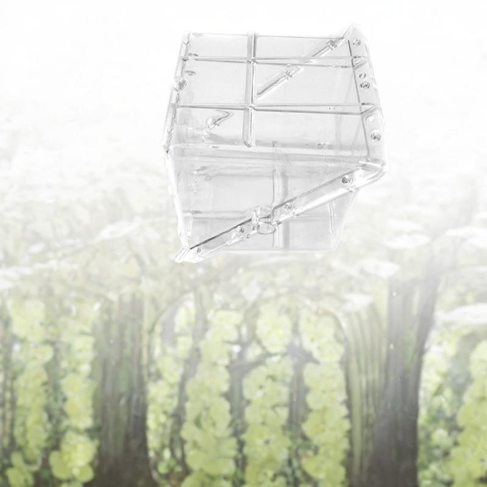 Quadratische Wassermelonen-Wac – Gardening Tools Unique Bewertung und Preis