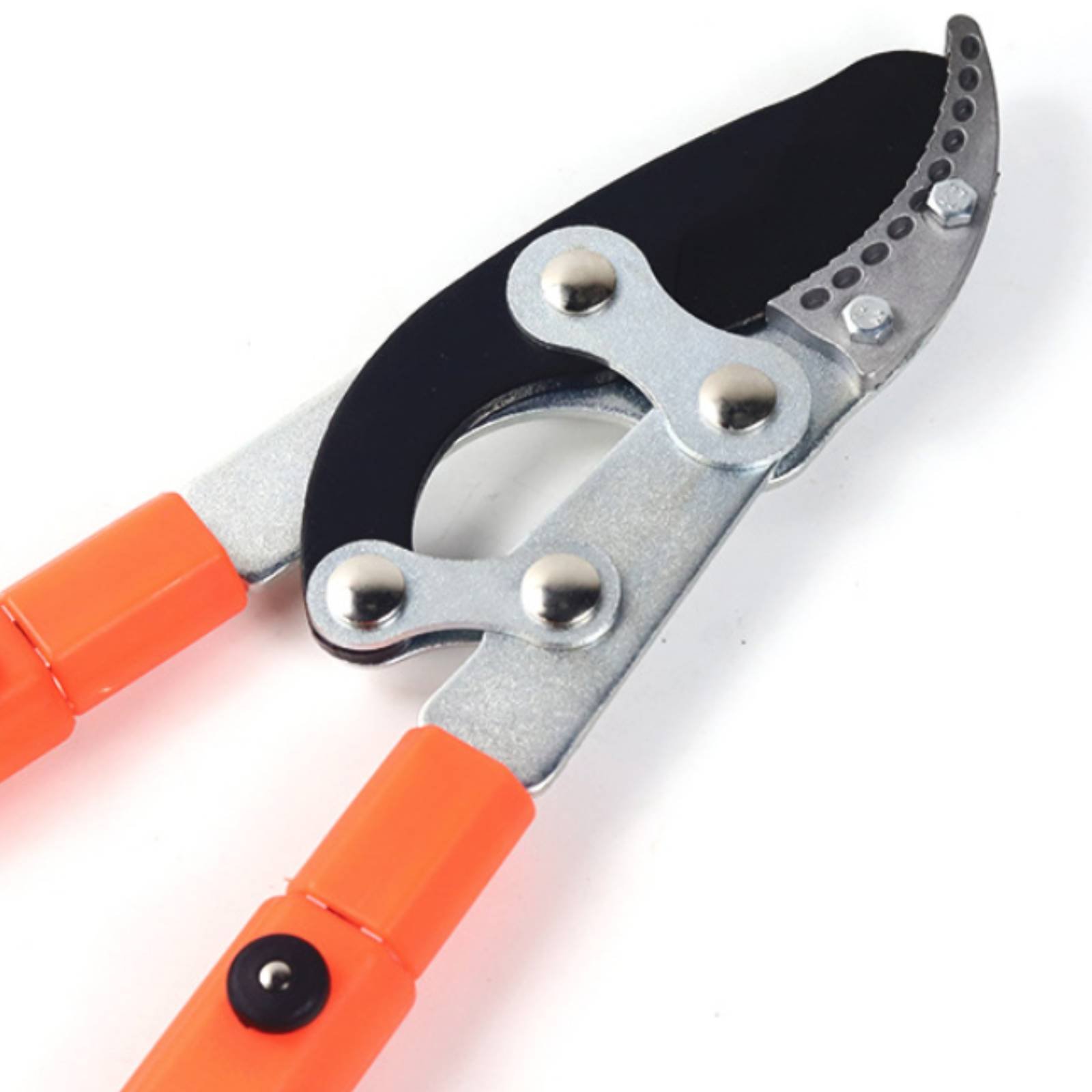 Teleskopische Astschere mit Sc – Gardening Tools In Bewertung und Preis