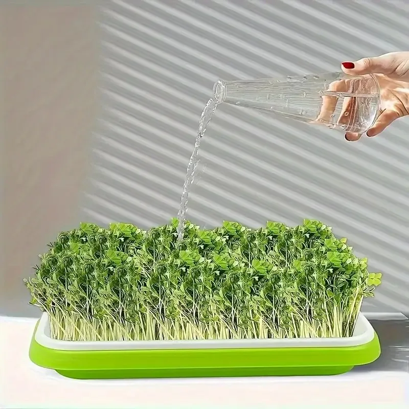 Neueste Modelle Anzuchtschalen – Gardening Tools Vegetables Bewertung und Preis