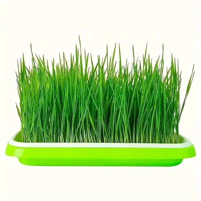Neueste Modelle Anzuchtschalen – Gardening Tools Vegetables Bewertung und Preis