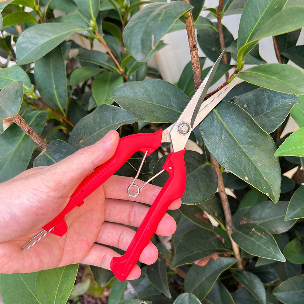 Professionelle Gartenschere Ve – Gardening Tools Vegetables Bewertung und Preis