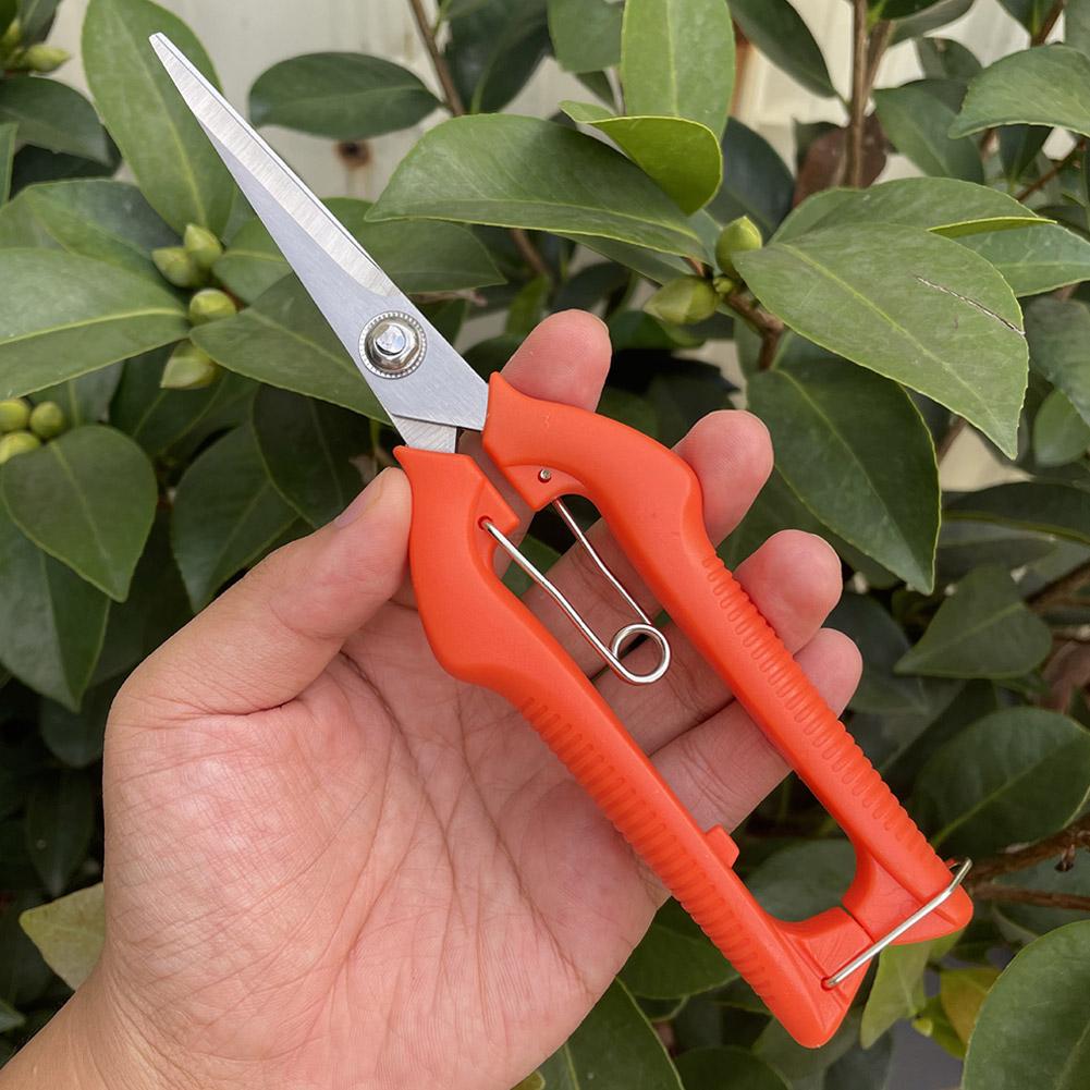 Professionelle Gartenschere Ve – Gardening Tools Vegetables Bewertung und Preis