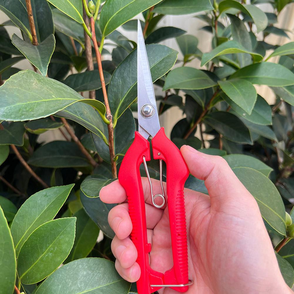 Professionelle Gartenschere Ve – Gardening Tools Vegetables Bewertung und Preis