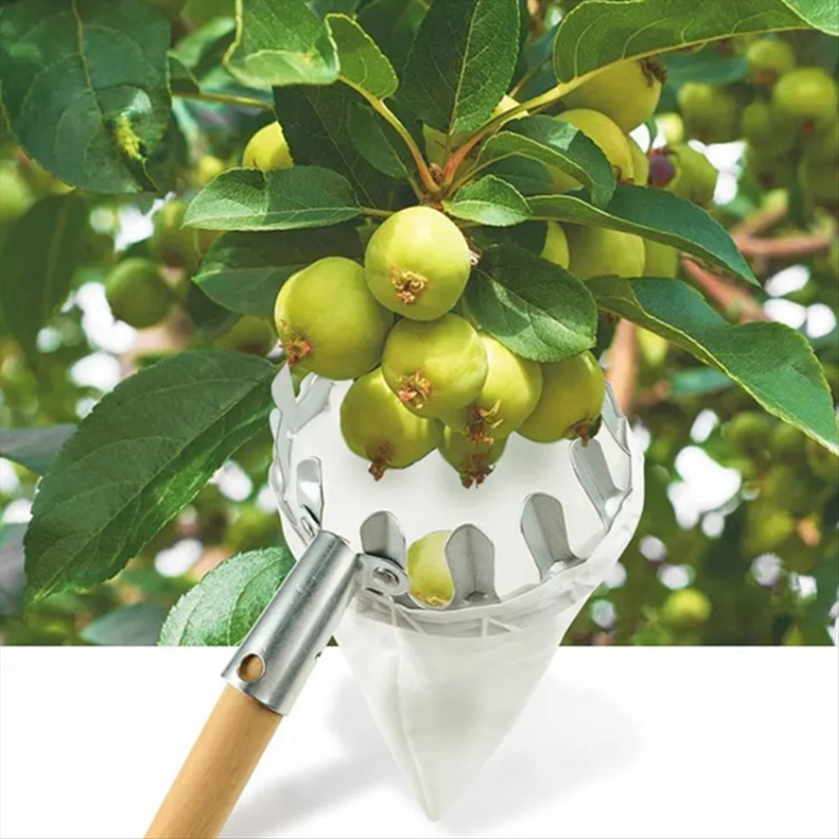 【Ausverkauf】Metall-Obstpflücke – Gardening Tools For Sale Bewertung und Preis
