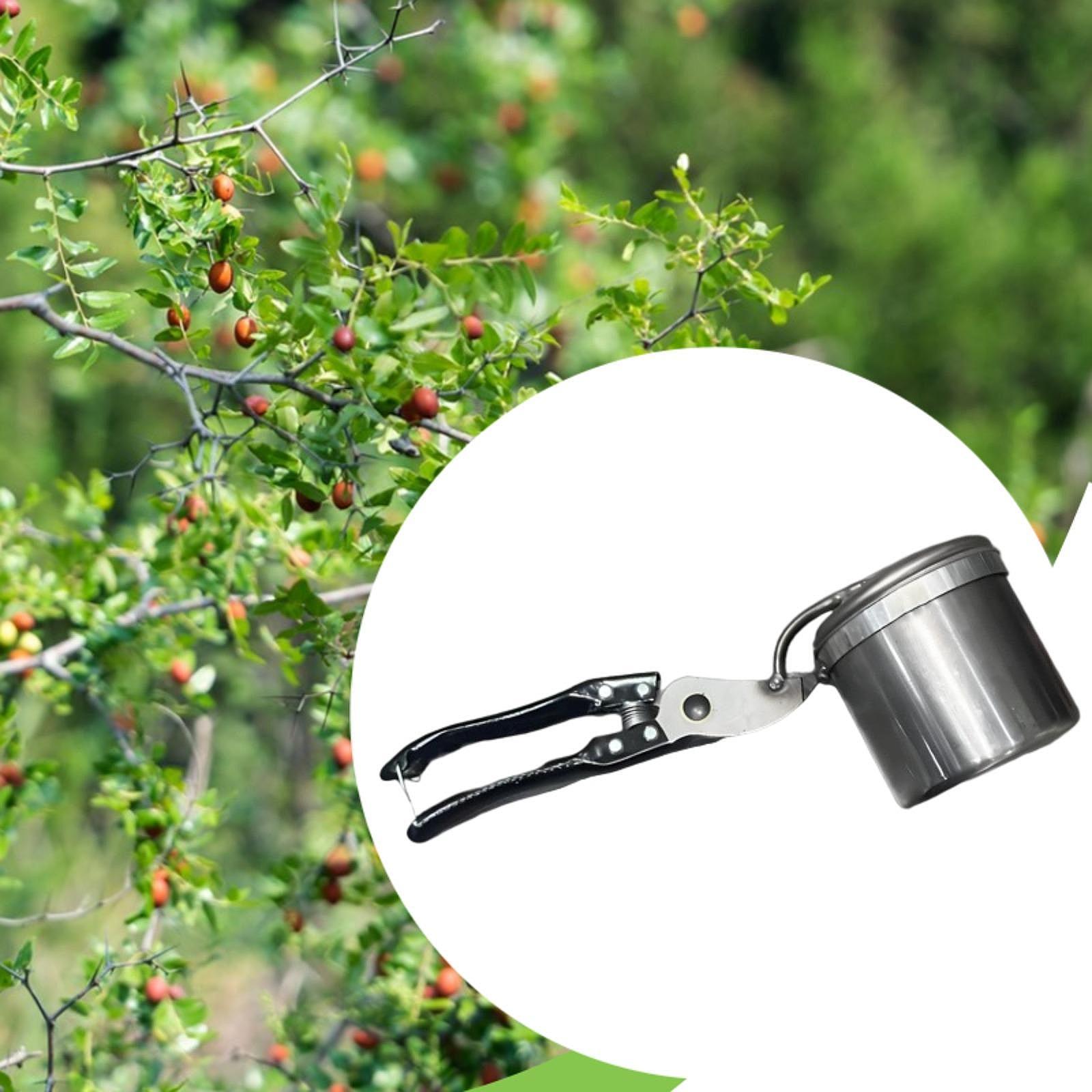 Obstpflücker, einfach zu verwe – Gardening Tools Vegetables Bewertung und Preis