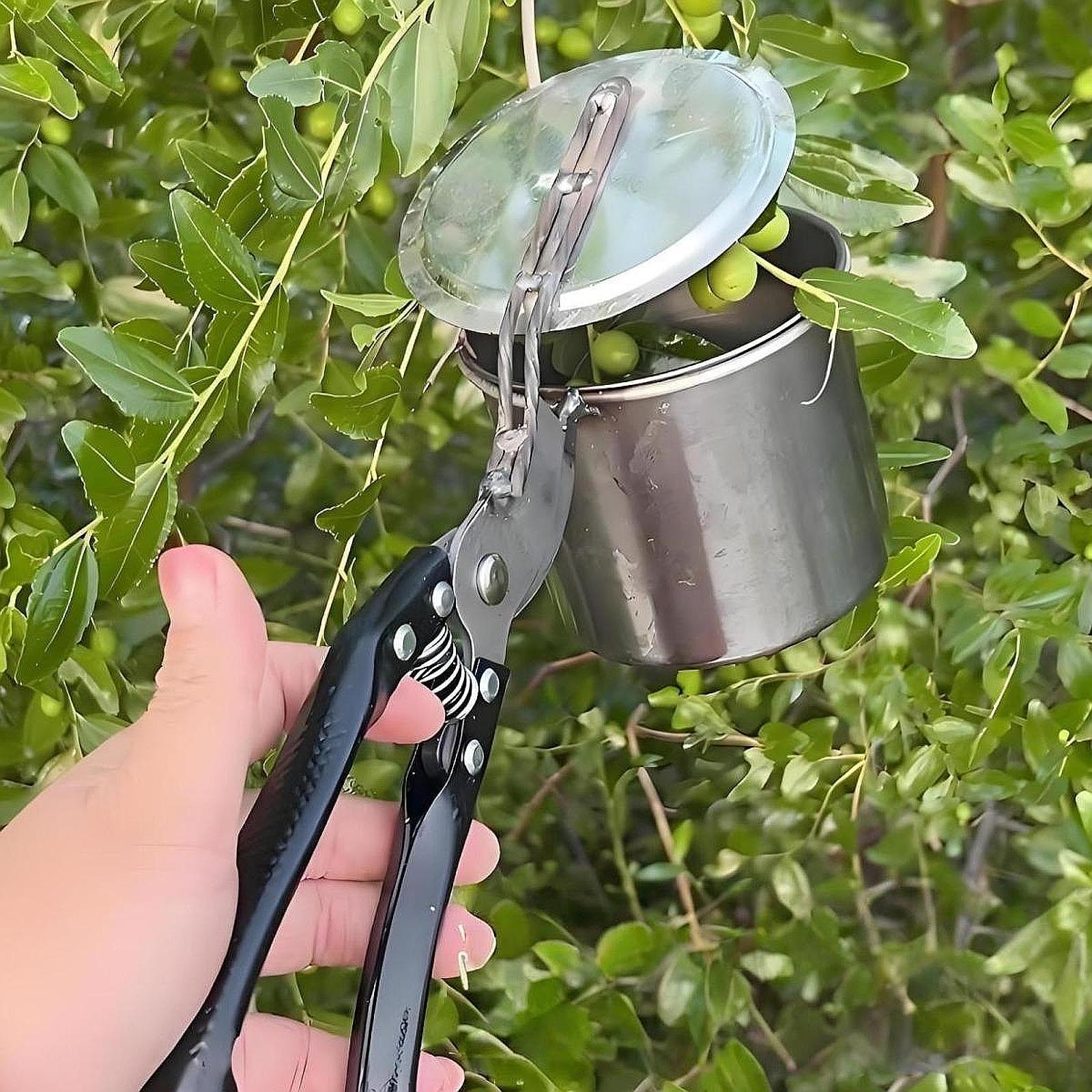 Obstpflücker, einfach zu verwe – Gardening Tools Vegetables Bewertung und Preis